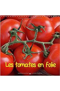 Les Tomates En Folie 2017