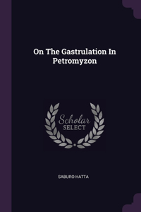 On The Gastrulation In Petromyzon