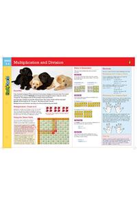 Multiplication and Division, Grades 3-4