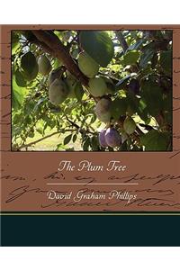 Plum Tree