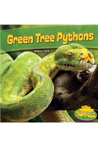 Green Tree Pythons