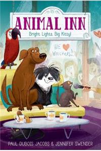 Bright Lights, Big Kitty!