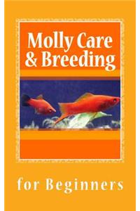 Molly Care & Breeding