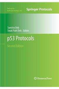 P53 Protocols