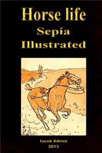 Horse life Sepia Illustrated