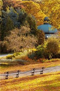 Mind Blowing Golden Autumn Park Journal