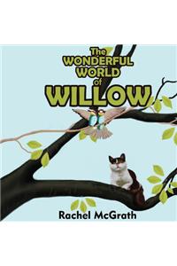 The Wonderful World of Willow
