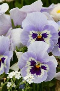 Purple and White Pansies Flower Journal