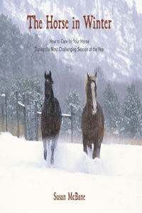 Show Hunters Under Saddle