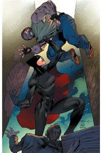 Miss Fury Volume 2
