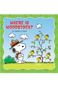 Where Is Woodstock?