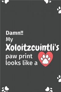 Damn!! my Xoloitzcuintli's paw print looks like a
