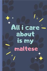All I Care About Is My Maltese- Notebook