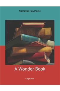 A Wonder Book