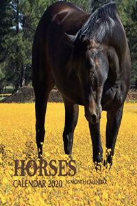 Horses Calendar 2020