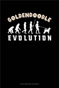 Goldendoodle Evolution