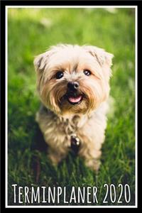 Terminplaner 2020