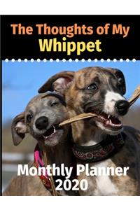 The Thoughts of My Whippet