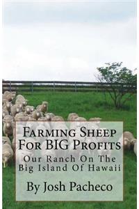 Farming Sheep for Big Profits