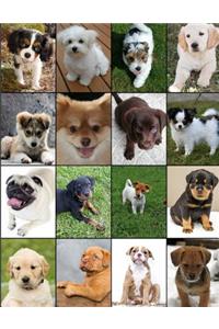 Puppy Dogs Notebook Journal 150 Page College Ruled Pages 8.5 X 11