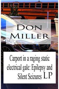 Carport in a Raging Static Electrical Gale