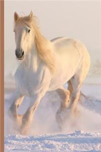 Winter Wonderland - Beautiful White Horse Running in the Snow