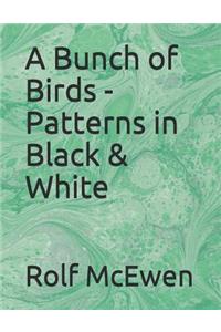 A Bunch of Birds - Patterns in Black & White