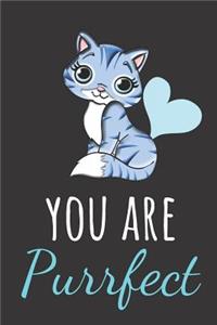 You Are Purrfect