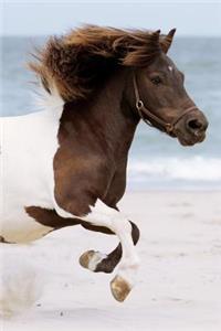 Pony Notebook