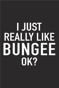 I Just Really Like Bungee Ok?