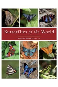 Butterflies of the World