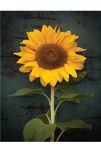 Sunflower Notebook