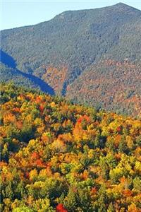 Fall Journal Pretty Mountain Foliage