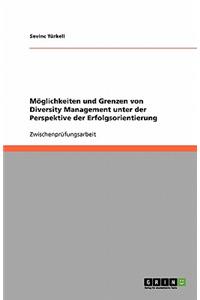 Möglichkeiten und Grenzen von Diversity Management unter der Perspektive der Erfolgsorientierung