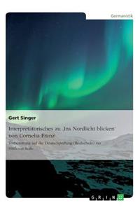 Interpretatorisches zu 'Ins Nordlicht blicken' von Cornelia Franz. Vorbereitung auf die Deutschprüfung (Realschule) zur Mittleren Reife