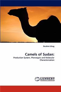 Camels of Sudan