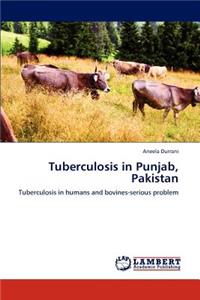 Tuberculosis in Punjab, Pakistan