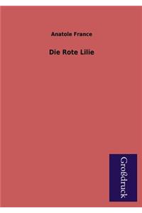 Die Rote Lilie