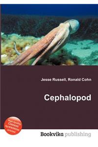 Cephalopod