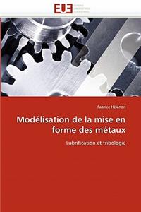 Mod�lisation de la Mise En Forme Des M�taux