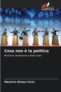 Cosa non è la politica