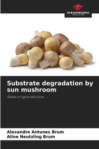 Substrate degradation by sun mushroom