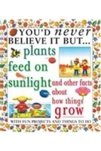 You'd Never Believe It But - Plants Feed On Sunlight