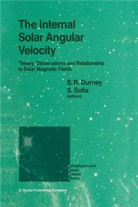 The Internal Solar Angular Velocity