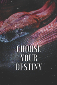 Choose your destiny