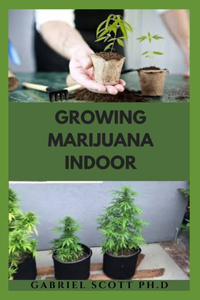 Growing Marijuana Indoor