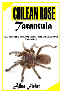 Chilean Rose Tarantula