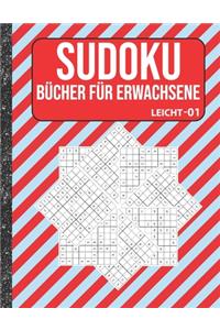 Sudoku Bücher für Erwachsene leicht