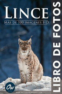 Lince
