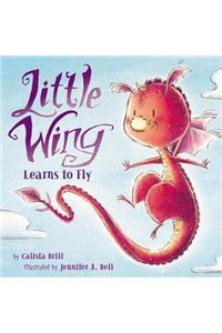Little Wing Learns to Fly